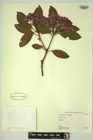 98682-Service File.jpg