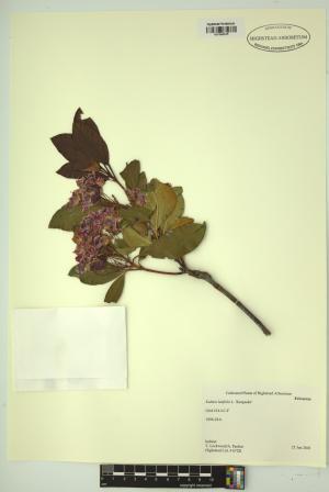 98683-Service File.jpg