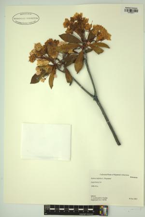 98685-Service File.jpg
