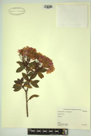 98686-Service File.jpg