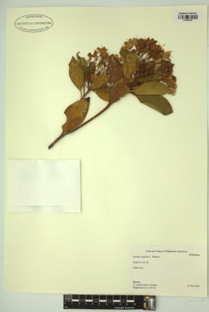 98690-Service File.jpg