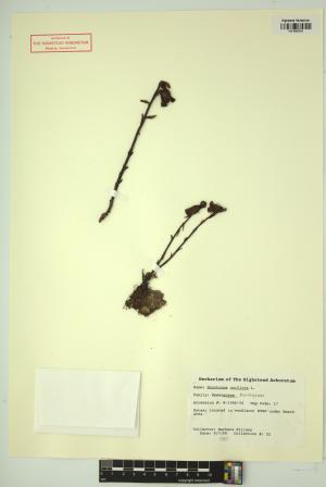 98699-Service File.jpg