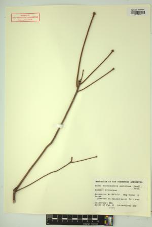 98714-Service File.jpg