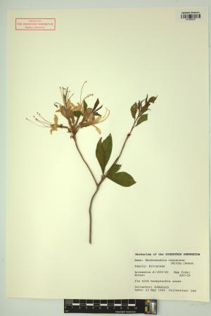 98722-Service File.jpg