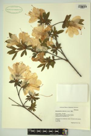 98726-Service File.jpg