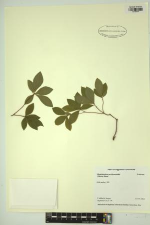 98738-Service File.jpg