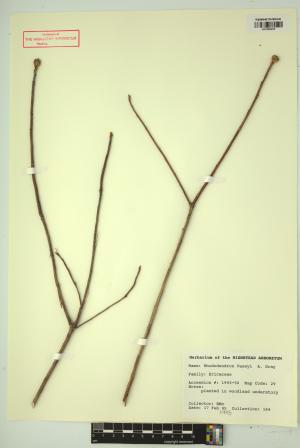 98744-Service File.jpg