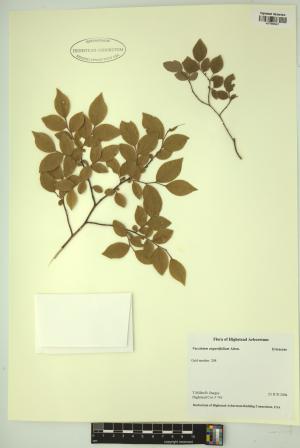 98756-Service File.jpg