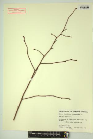 98760-Service File.jpg