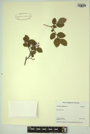 98767-Service File.jpg