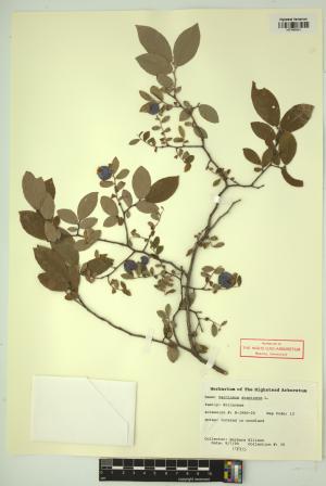 98768-Service File.jpg