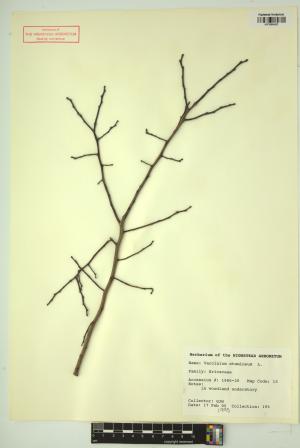 98769-Service File.jpg