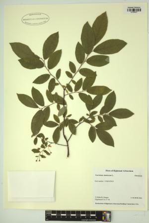 98772-Service File.jpg