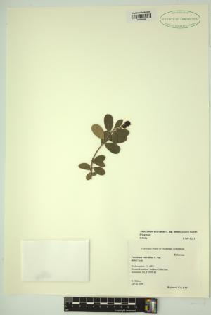 98773-Service File.jpg