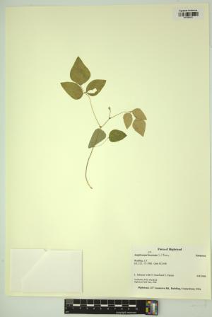 98776-Service File.jpg