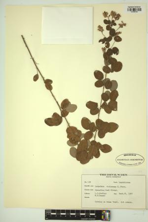 98790-Service File.jpg
