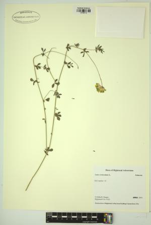 98792-Service File.jpg