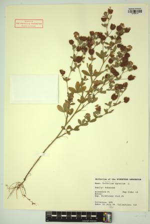 98797-Service File.jpg