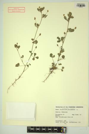 98798-Service File.jpg