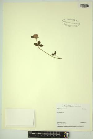 98800-Service File.jpg