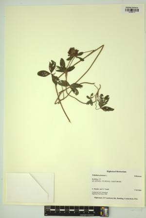 98801-Service File.jpg
