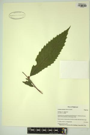 98804-Service File.jpg