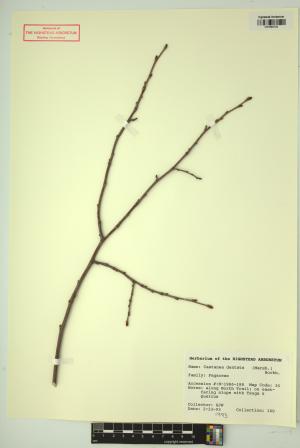 98807-Service File.jpg