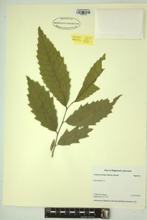 98808-Service File.jpg