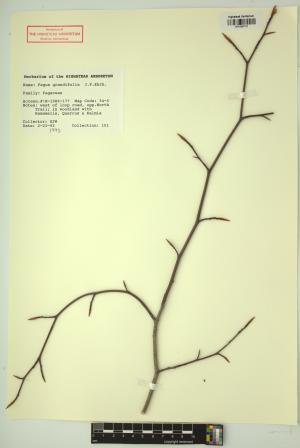 98810-Service File.jpg