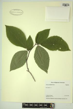 98815-Service File.jpg