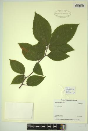 98816-Service File.jpg