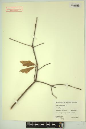 98820-Service File.jpg
