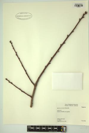 98836-Service File.jpg
