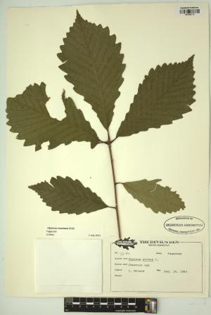 98846-Service File.jpg