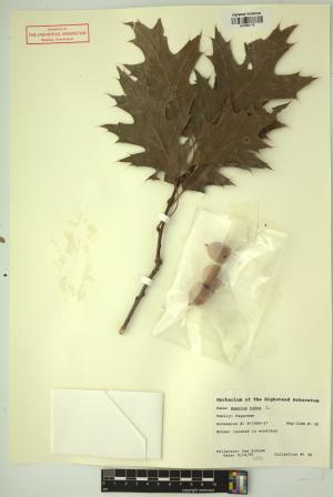 98852-Service File.jpg