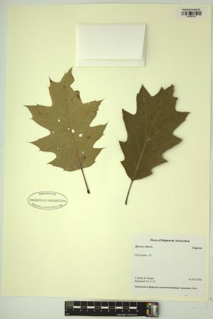 98854-Service File.jpg