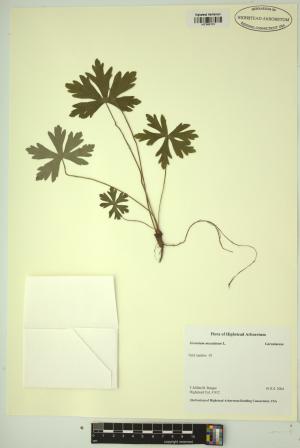 98865-Service File.jpg