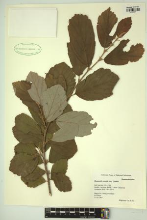 98877-Service File.jpg