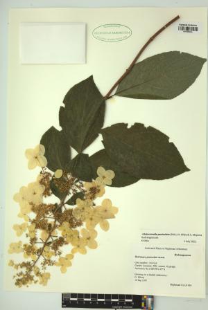 98893-Service File.jpg