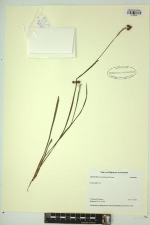 98905-Service File.jpg