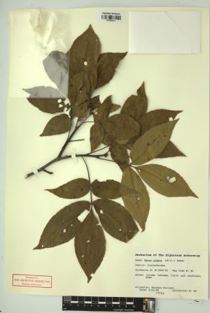 98911-Service File.jpg