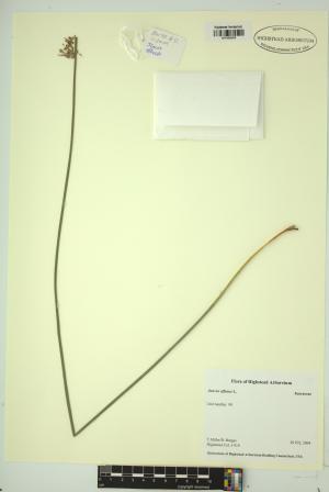98922-Service File.jpg