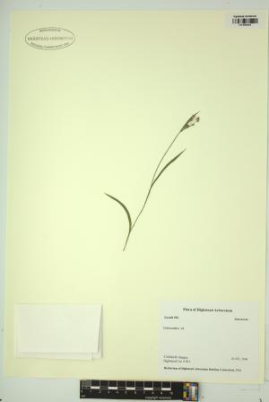 98924-Service File.jpg