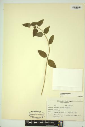 98929-Service File.jpg