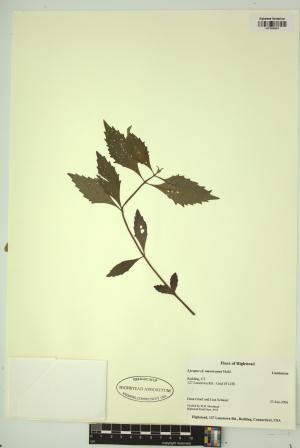 98933-Service File.jpg