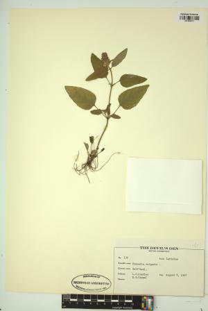 98937-Service File.jpg