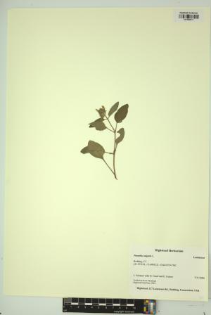 98938-Service File.jpg
