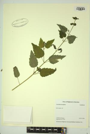 98941-Service File.jpg