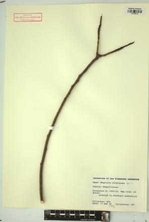 98977-Service File.jpg