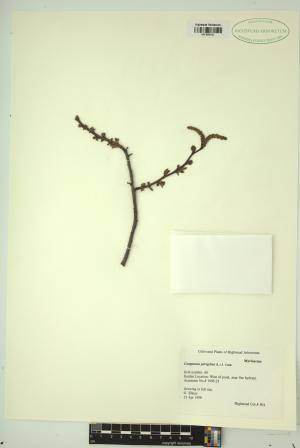 98989-Service File.jpg